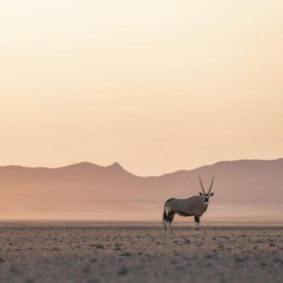 Namibia wilderness