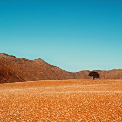 NamibRand Nature Reserve