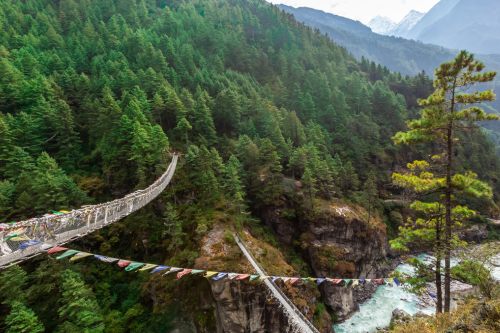 Nepal forest trek