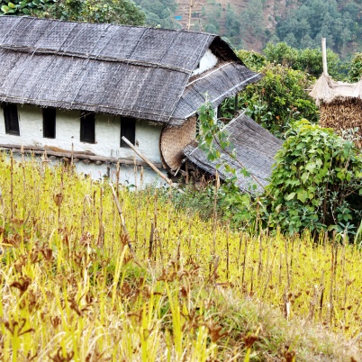 Nepal Village (2)