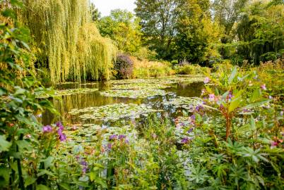 Normandy Transfer from Paris to Bayeux via Monets Garden or Rouen