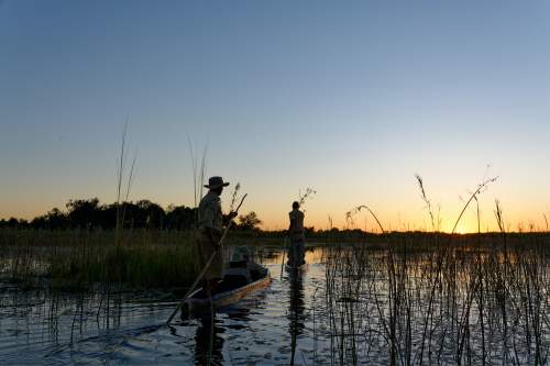 Okavango Delta 500x333 1