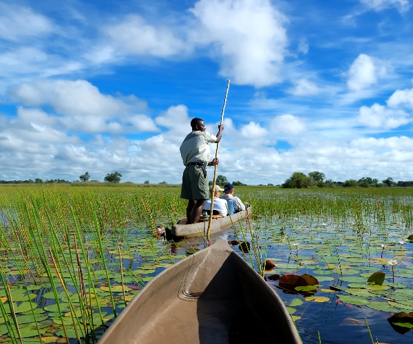 Okavango Delta Canoeing Blog Section Image