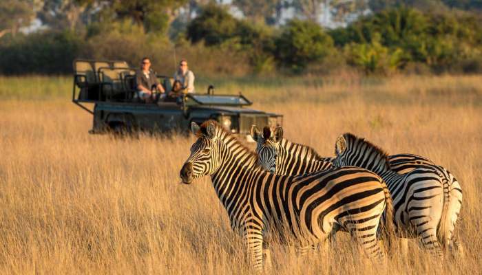 Okavango delta tebu