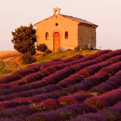 Provence 402x402