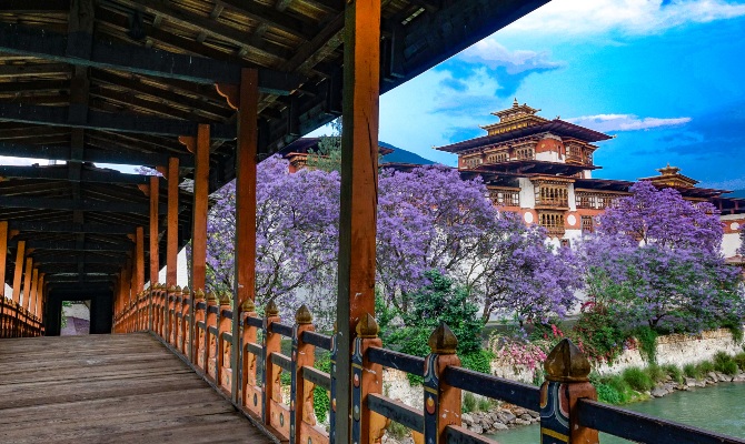 Punakha dzong in springtime, Bhutan