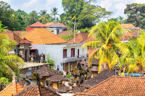 Rooftops of Ubud Bali