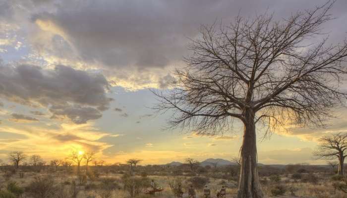 Ruaha Jabali Ridge