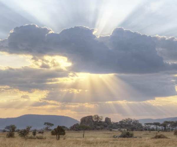 Serengeti Dunia Camp