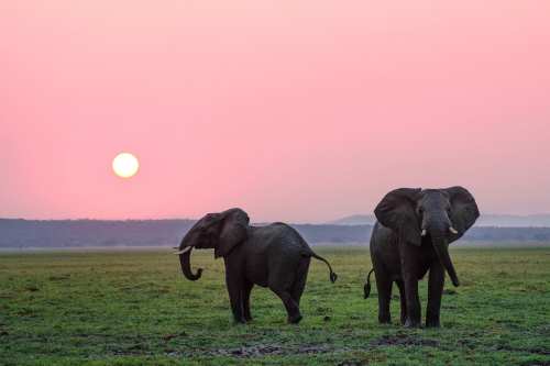 Serengeti Natinal Park tanzania2