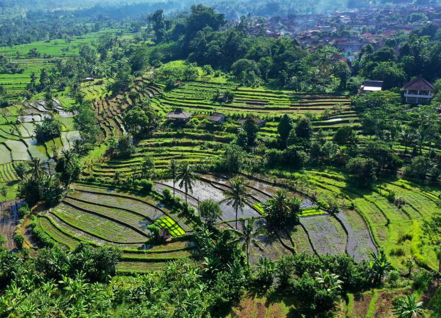 Sidemen Valley Bali 2