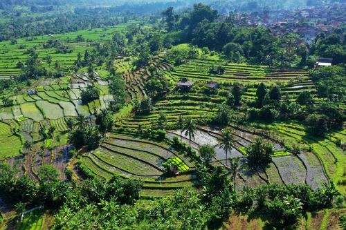 Sidemen Valley Bali 1