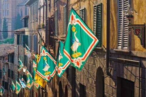 Siena flags 500x333 1