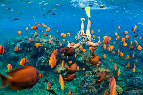 Snorkeling Bali