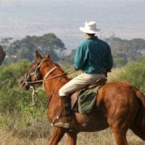 Sosian Lodge Horse riding Listing