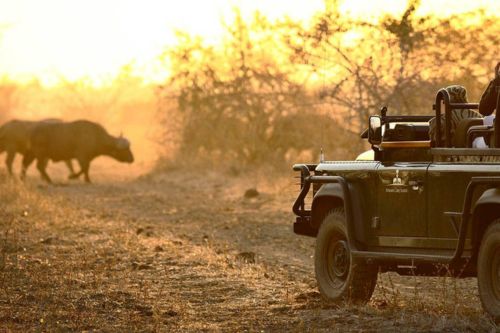 South Luangwa Zambia Game Drive