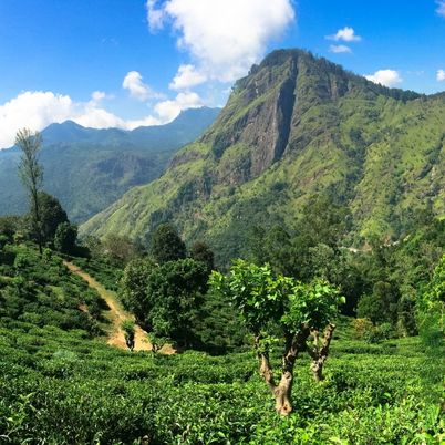 Sri Lanka