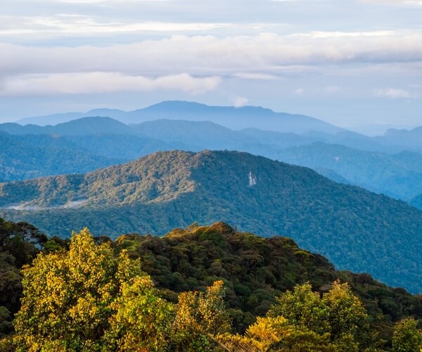 Summit of Gunung Brinchang Cameron Highlands