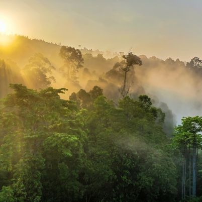 Sunrise, Sabah, Borneo