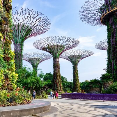 Supertree Gardens, Singapore