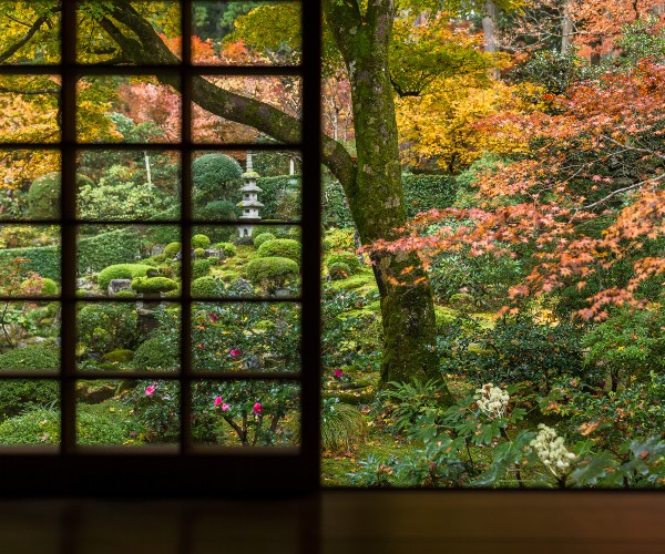 Tea ceremony venue Kyoto