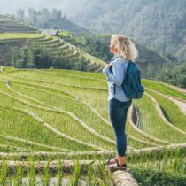 Tourist hiking through rice terraces Sapa Listing