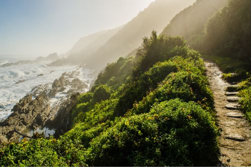 Tsitsikamma National Park