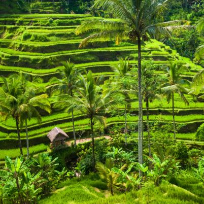 Ubud, Bali