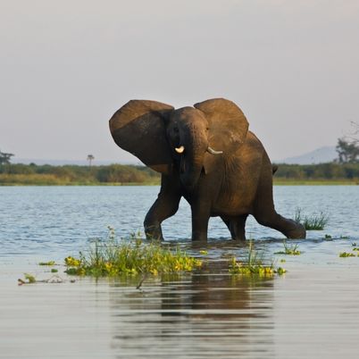 Boat Safaris in Tanzania