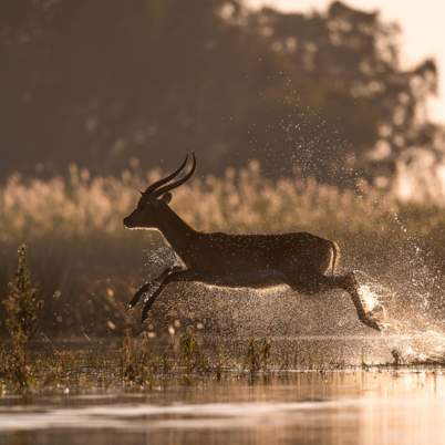 Botswana