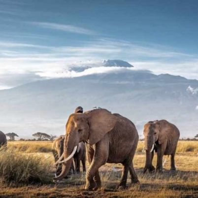 Amboseli National Park