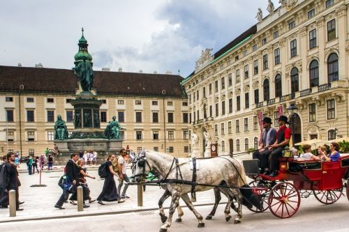 Vienna winter horses