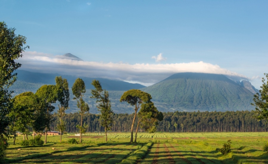 Virunga volcanoes in Rwanda 1