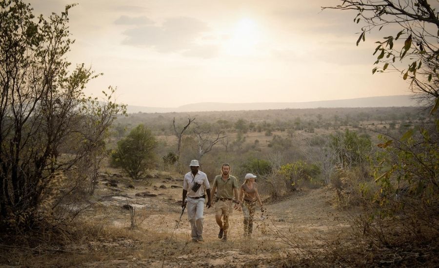 Walking safari Kiba Point Selous