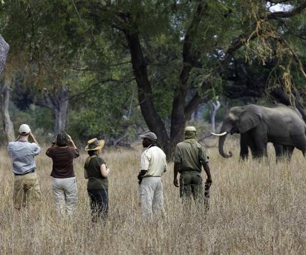 Walking safari Zambia