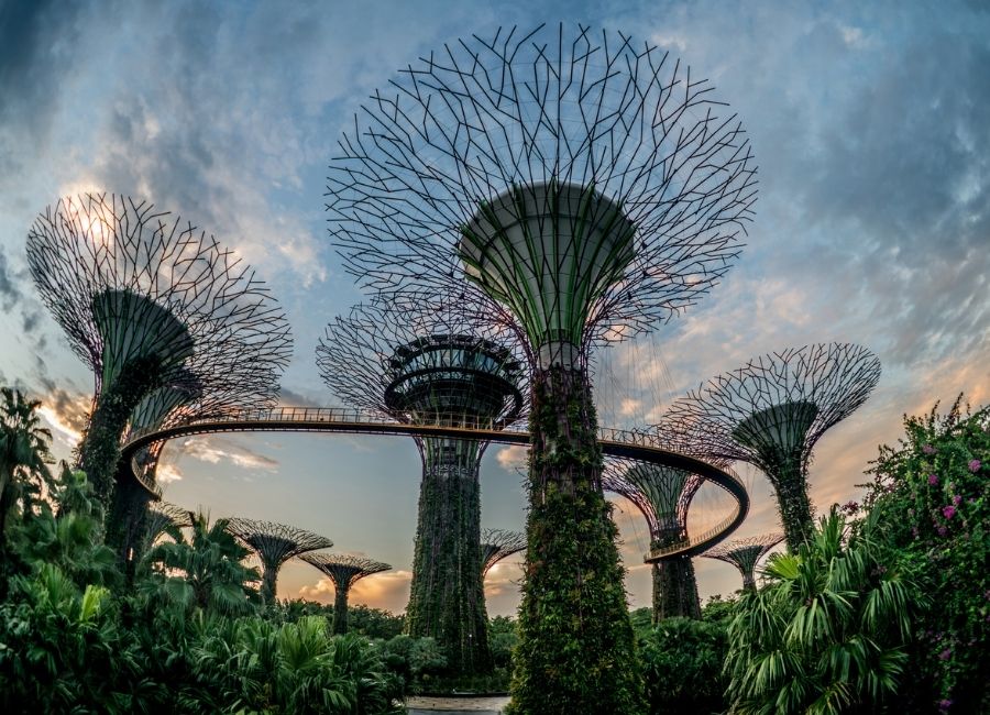 What to do Gardens by the Bay