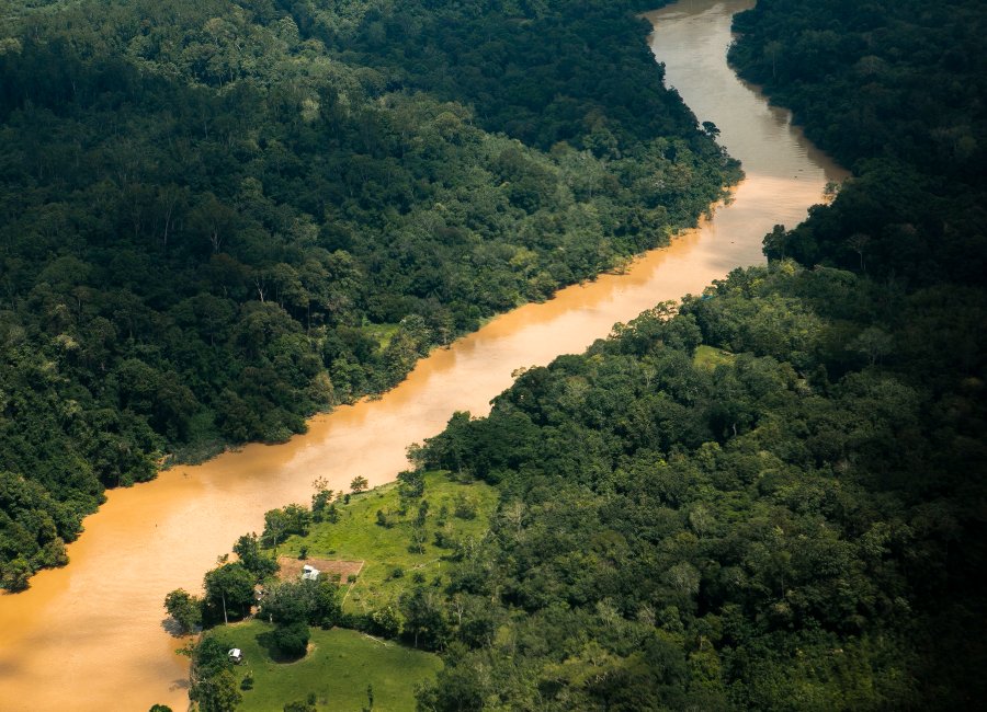 Where to go Tanjung Puting Kalimantan