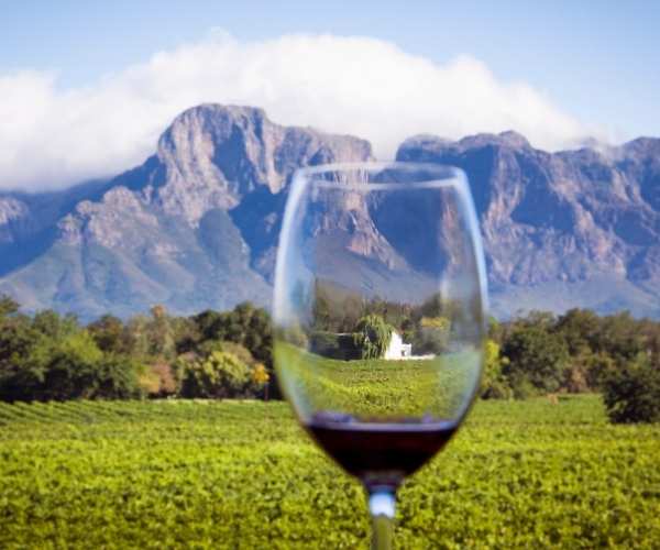 Wine South Africa