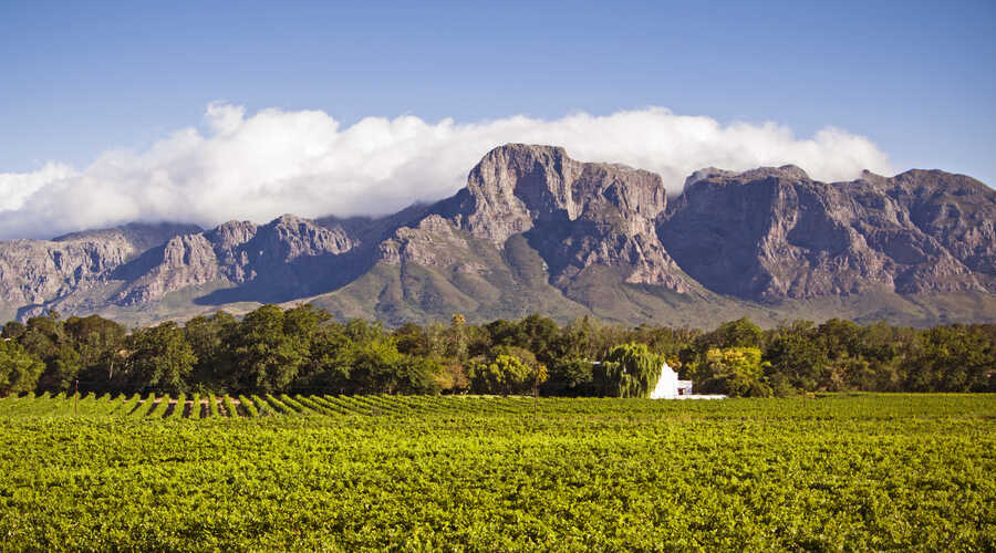 Winelands