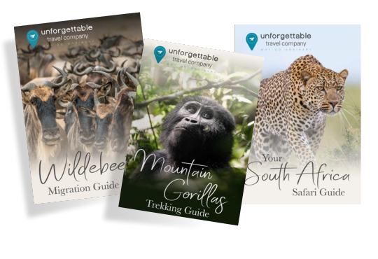 Africa content brochure